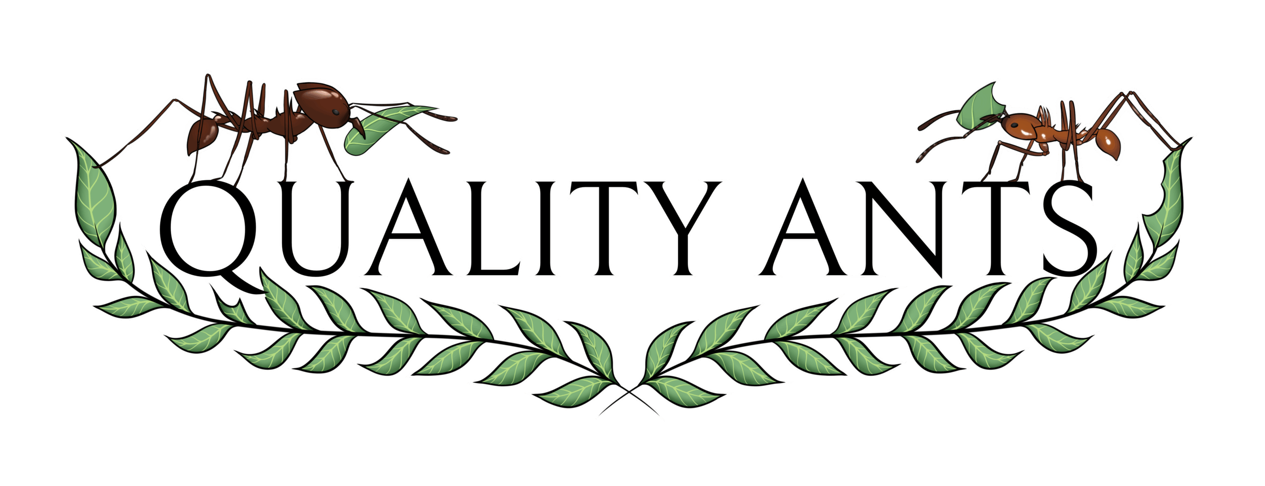 Quality Ants
