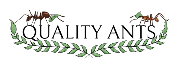 Quality Ants
